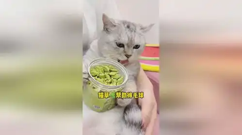 猫薄荷饼干是个养猫人都要有的好东西,赶紧给你家小猫咪安排上吧
