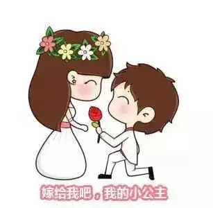  单膝跪地哄好女朋友的表情包合集