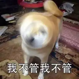  表情包女朋友发脾气是怎样的
