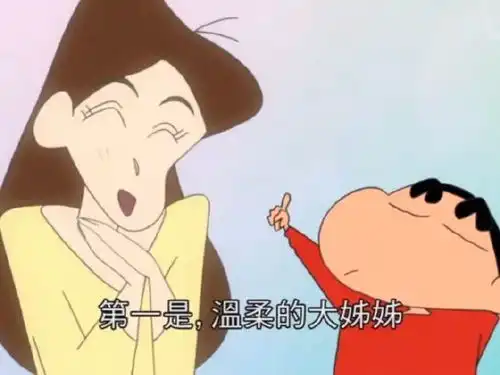  我喜欢的东西和小新一样