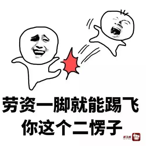  咱能不能雅一点,别动不动就踢人