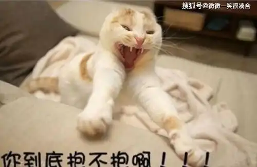 人是铁,饭是钢,骨头里面没有汤