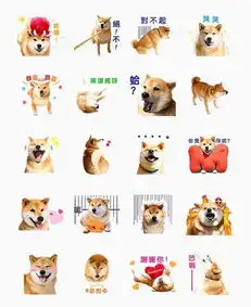  世界上有一种差别叫做,你家养了只柴犬,而我家养的是哈士奇