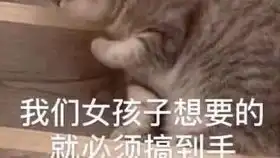  剑网三七夕节自动挂机刷羽毛教程,一晚上能刷7000左右羽毛第二十四期