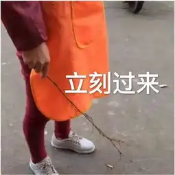  今日表情包出来玩啊,我去接你
