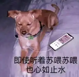  超皮的聊天表情即使听着苏喂苏喂,也心如止水
