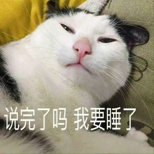 你选择养猫还是养狗作出选择后的人生是完全不同的 你选择养猫还是养狗作出选择后的人生是完全不同的