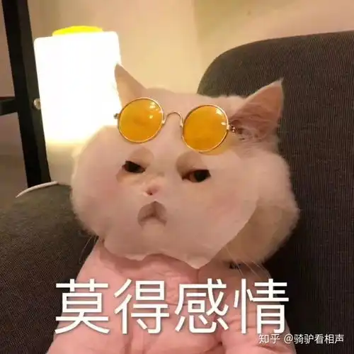  中国人寿售后客服怎么样