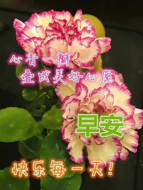  8月15日漂亮早上好动态图片表情大全,