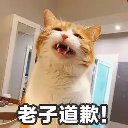  一组萌萌哒小猫咪表情包