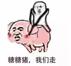 我tm表情包象拔蚌
