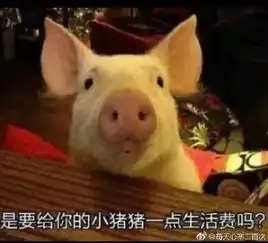  要饭保命系列表情包,双十一花式哭穷就指着它了