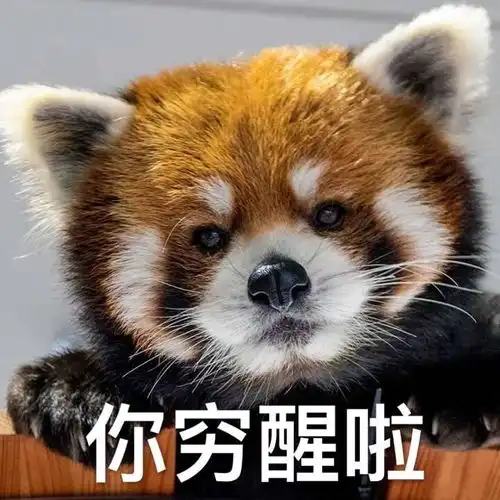 图收藏夹