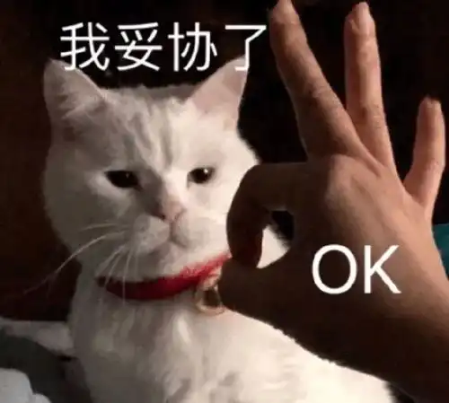  继拧瓶盖之后又一个索命问异性朋友能坐你男友的副驾吗