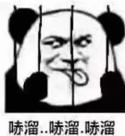溜了表情包素材黑账