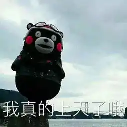  注意他们刚入境就被判死刑,只因为给朋友带了不该带的东西