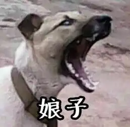  娘子啊哈表情包两只狗有谁有的