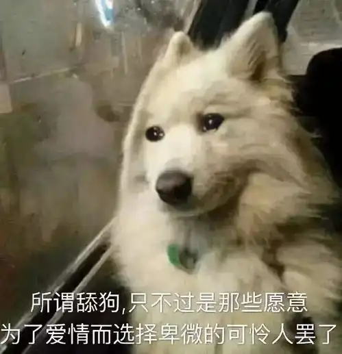 沙雕狗子表情包脑机接口