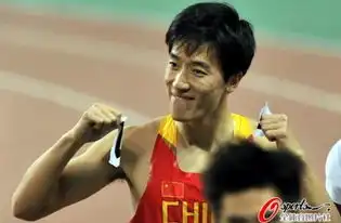  刘翔小组第一进决赛露霸气搞怪表情