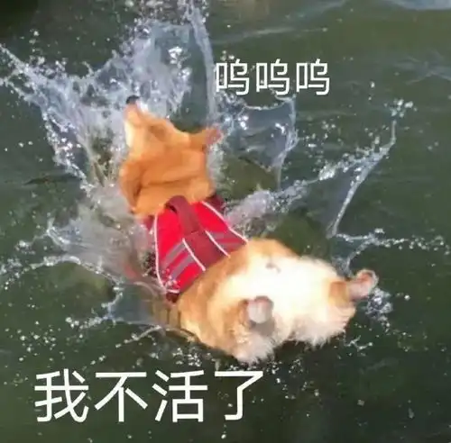  表情包姐妹出来吃瓜