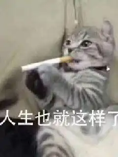 看我猫爷来修仙无弹窗,看我猫爷来修仙最新章节全文阅读,西风听雨落的小说 看我猫爷来修仙无弹窗,看我猫爷来修仙最新章节全文阅读,西风听雨落的小说