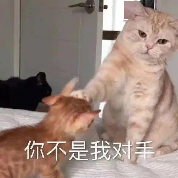  沙雕表情给你的脑子排排水