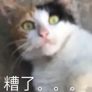  日常吸吸猫表情包