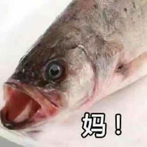  火锅虾饺拿来煮着吃真的太对不起它了