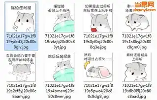  小仓鼠强迫症表情包下载