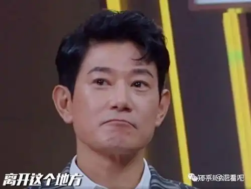  表情汪涵向欧弟道歉竟被骂太假俞灏明矢野浩二的表情透露真相知乎表情