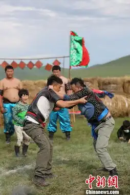 星爸爸爸2草原比赛摔跤费曼表情逗趣11 星爸爸爸2草原比赛摔跤费曼表情逗趣11