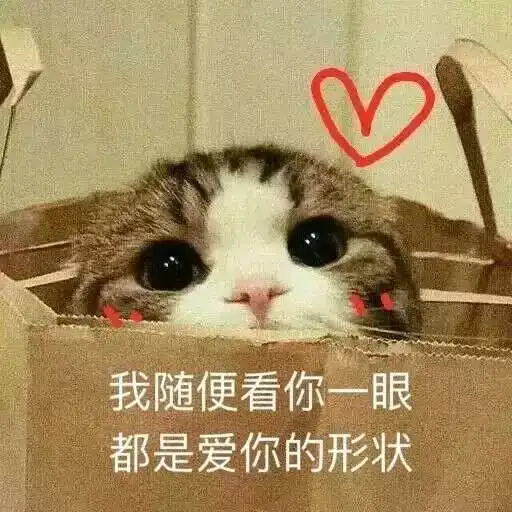  衬衣和毛衣双剑合璧,同时给你温暖和时髦
