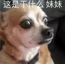  搞笑狗子表情包撩到你了吗,妹妹