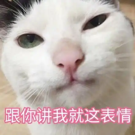猫咪表情图片