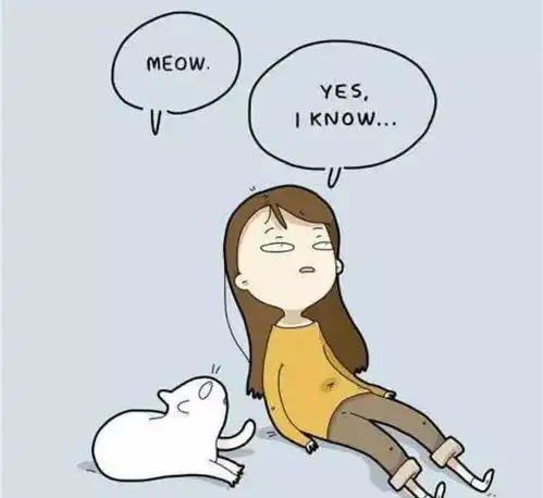  养猫人的生活都在这里了,是悲惨还是幸福
