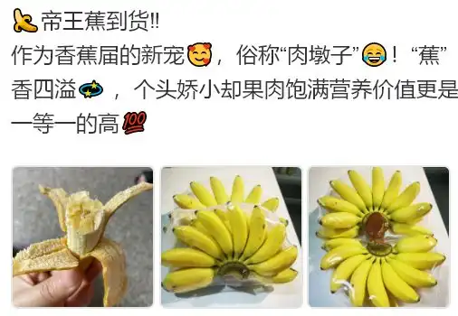 qq表情搞笑带字的图片香