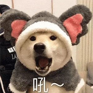  沙雕表情包i吓得我抓住了咪咪