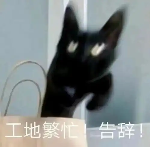  表情包真的好热啊