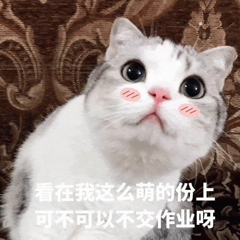  猫咪可爱女生表情包你要讲道理,还是要我