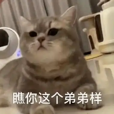  沙雕表情瞧你这个弟弟样