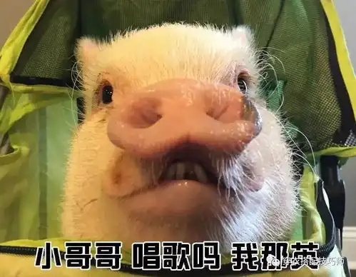 小猪喊到一系列表情包鱼