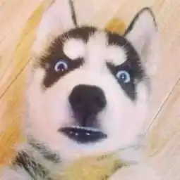  雨刷还有各种姿势无骨有骨哪种更好