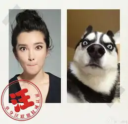 开心表情图片搞笑李冰冰