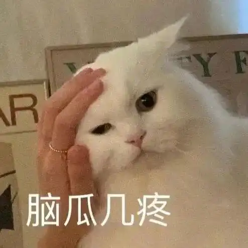  女生养了4个多月的猫发现是公猫,崩溃大哭还我闺女