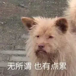  舍友喝多后强吻同屋丧心病狂吧哈哈哈哈