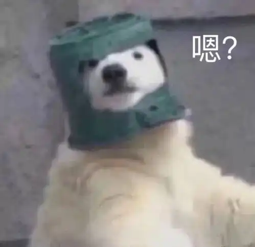  值得你收藏沙雕的表情包