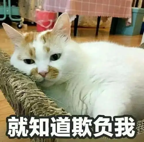  哄女朋友开心的表情包,低头认错