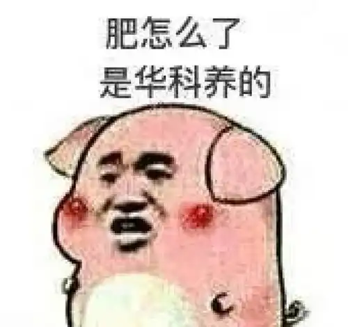  华科真的不是三本,欢迎报考