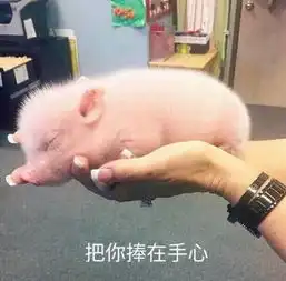  满足电竞住宿双需求,郑州电竞酒店火热来袭