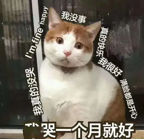  来,给你看看我们宿舍群名